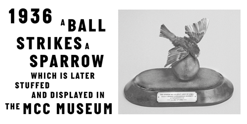 A ball strikes a sparrow